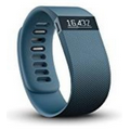 Large Charge Wireless Activity & Sleep Band (Slate Blue)